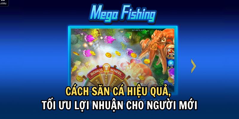 Cách săn cá hiệu quả, tối ưu lợi nhuận cho người mới