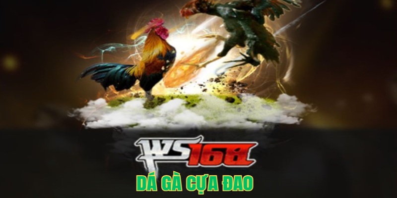 Đá gà cựa dao hấp dẫn tại sảnh game WS168